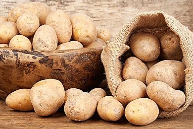 微软Xbox Live金会员2021年8月会免游戏公布